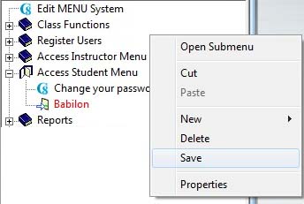 creating a Babilon entry
